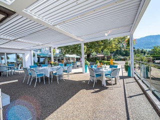 El Pollito En La Plaza