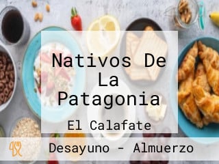 Nativos De La Patagonia