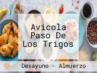 Avicola Paso De Los Trigos