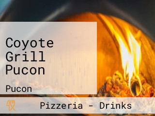 Coyote Grill Pucon