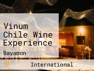 Vinum Chile Wine Experience