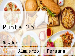 Punta 25