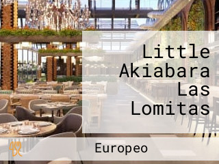Little Akiabara Las Lomitas