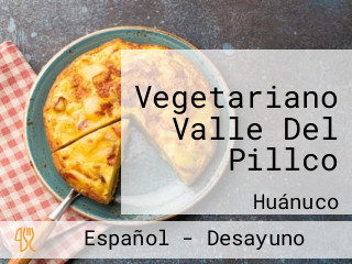 Vegetariano Valle Del Pillco