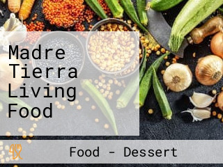 Madre Tierra Living Food