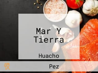 Mar Y Tierra