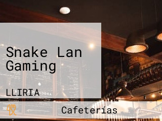 Snake Lan Gaming