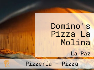 Domino's Pizza La Molina