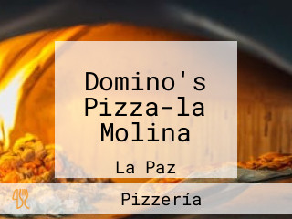 Domino's Pizza-la Molina