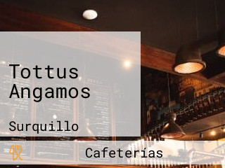 Tottus Angamos