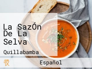 La SazÓn De La Selva