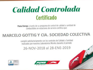 Puma Energy Federal Marcelo Gottig Y Cia