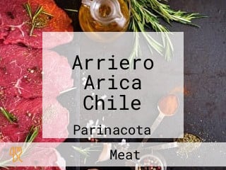 Arriero Arica Chile