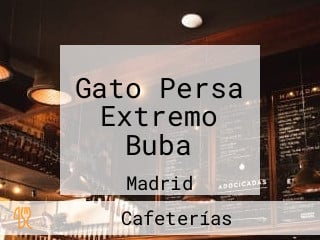 Gato Persa Extremo Buba