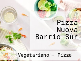 Pizza Nuova Barrio Sur