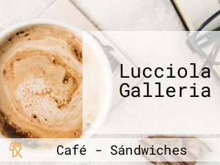 Lucciola Galleria