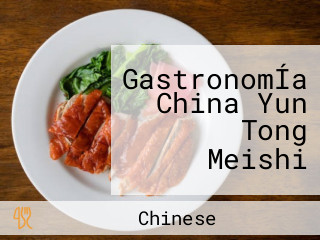 GastronomÍa China Yun Tong Meishi