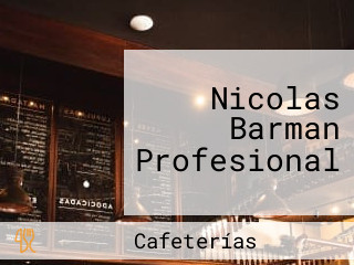 Nicolas Barman Profesional