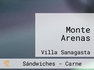 Monte Arenas