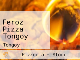 Feroz Pizza Tongoy