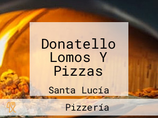 Donatello Lomos Y Pizzas