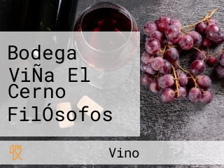 Bodega ViÑa El Cerno FilÓsofos