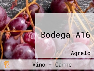 Bodega A16