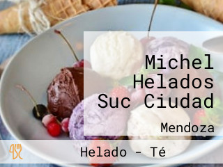 Michel Helados Suc Ciudad