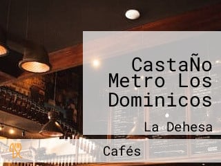 CastaÑo Metro Los Dominicos