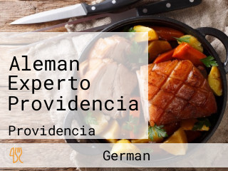 Aleman Experto Providencia