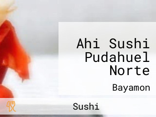 Ahi Sushi Pudahuel Norte