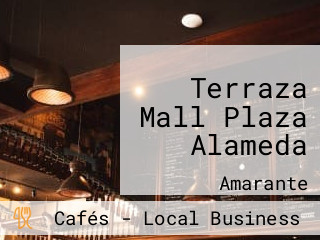 Terraza Mall Plaza Alameda