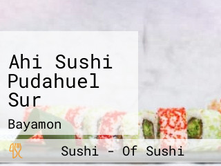 Ahi Sushi Pudahuel Sur