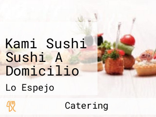 Kami Sushi Sushi A Domicilio