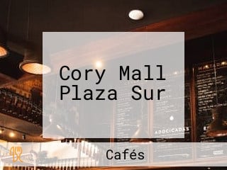 Cory Mall Plaza Sur