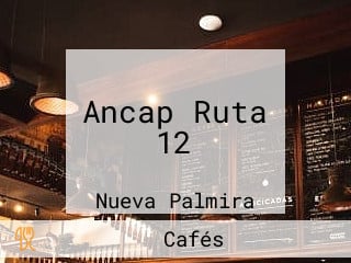 Ancap Ruta 12