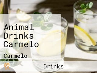 Animal Drinks Carmelo