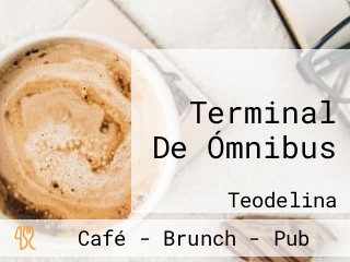 Terminal De Ómnibus