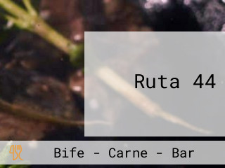 Ruta 44