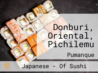 Donburi, Oriental, Pichilemu