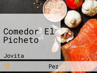 Comedor El Picheto