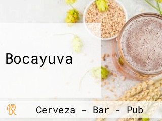 Bocayuva