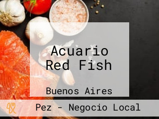 Acuario Red Fish