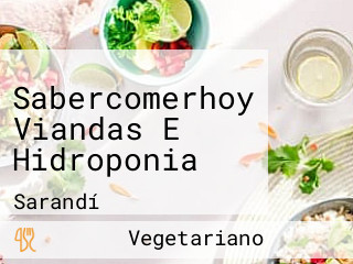 Sabercomerhoy Viandas E Hidroponia