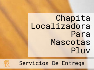 Chapita Localizadora Para Mascotas Pluv