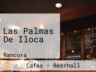 Las Palmas De Iloca