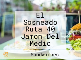 El Sosneado Ruta 40 Jamon Del Medio