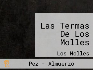 Las Termas De Los Molles