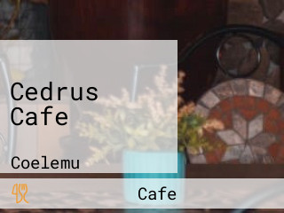 Cedrus Cafe