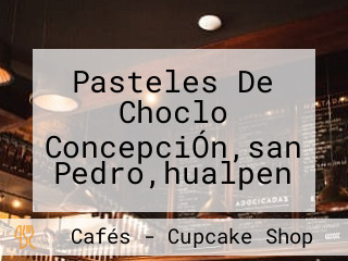 Pasteles De Choclo ConcepciÓn,san Pedro,hualpen